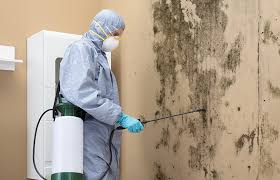 Why You Should Choose Our Mold Remediation Services in Westville, IN